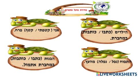 פועל  מתאים