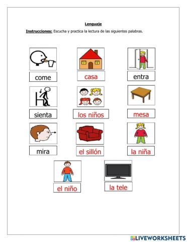 Lectura global categoría objetos