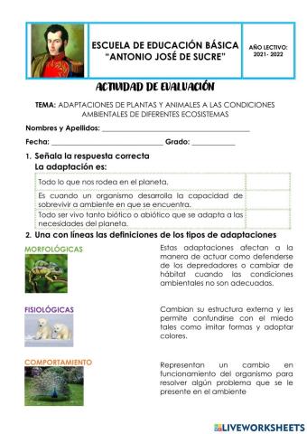 Adaptaciones de plantas y animales