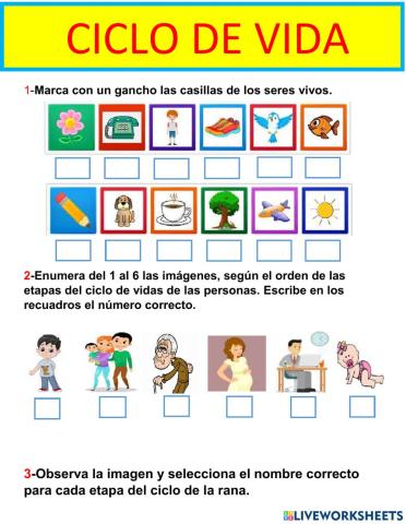 Ciclo de vida