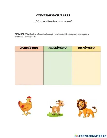 Animales según su alimentanción