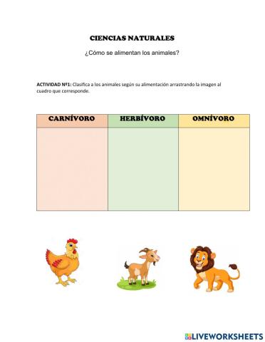 Animales según su alimentanción