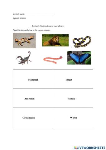 Science assessment, Standard 2.
