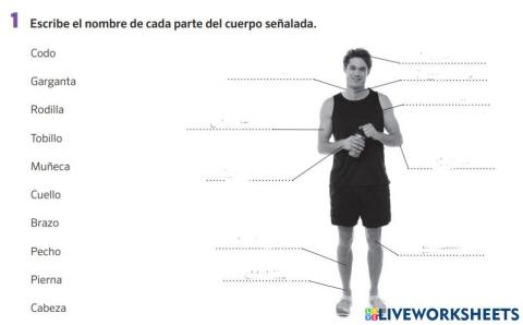 Escribe el nombre de cada parte del cuerpo señalada.