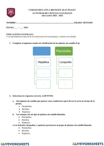 Plantas sin semillas