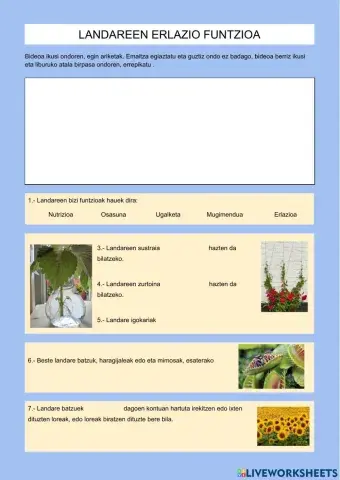 Landareen harreman funtzioa