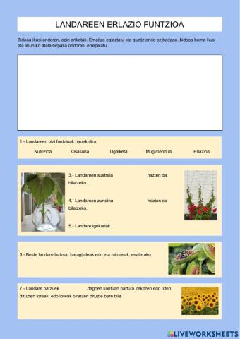 Landareen harreman funtzioa