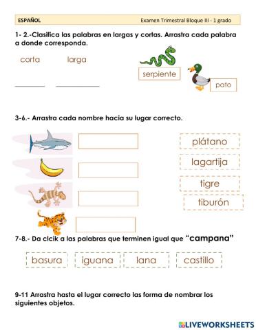 Examen de Español Primer