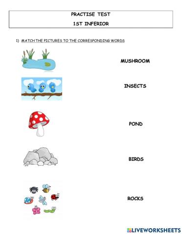 1st inferior practise test poptropica 2 unit 1