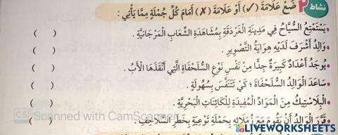 2السلحفاة البحرية