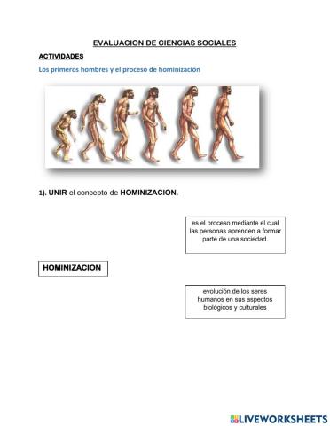 La hominización