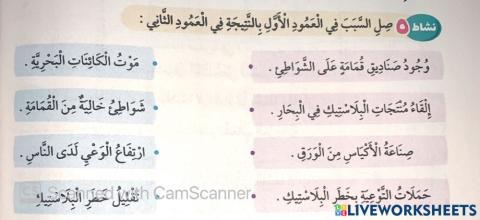 السلحفاة البحرية3