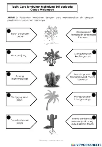 Tumbuhan melindungi diri dari iklim dan musim