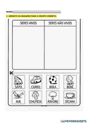 Seres vivos e seres não vivos