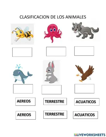 Clasificacion de animales