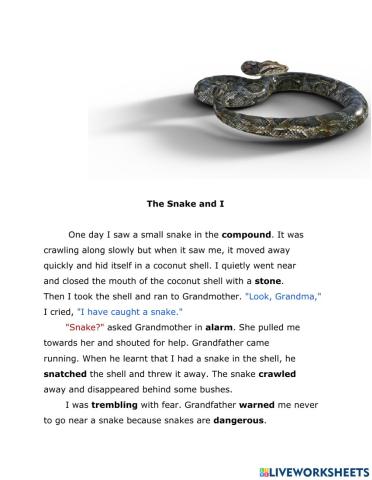 The Snake and I