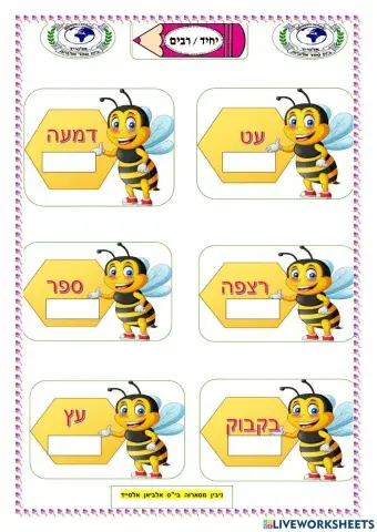 יחיד  רבים