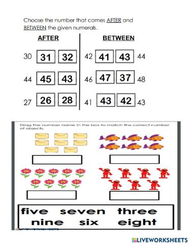 Maths Assessment