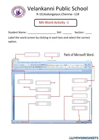 Ms-word Screen