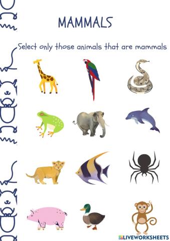Mammals