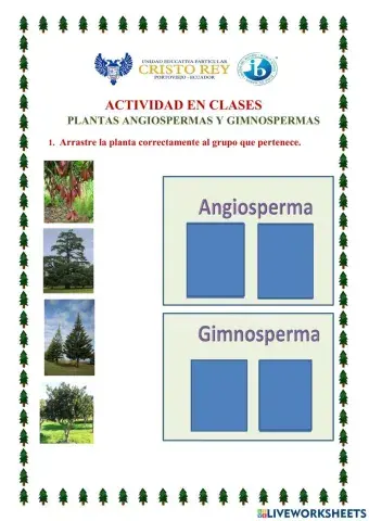 Plantas con semillas