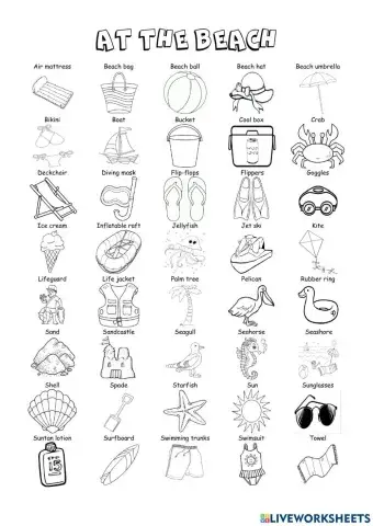 AT THE BEACH - Vocabulary