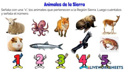 Animales de la Sierra (preescolar)