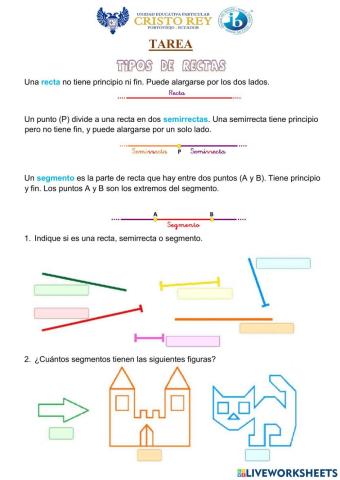 Líneas rectas, semirrectas y segmentos