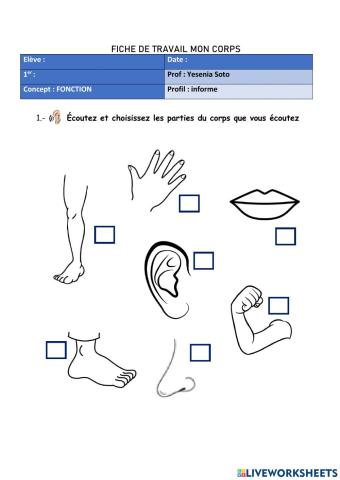 Les parties du corps bac