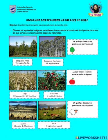 Ficha Recursos Naturales Chile