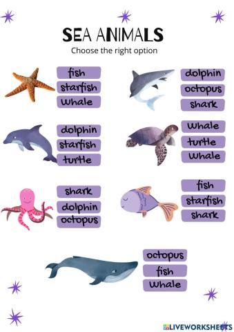 Sea animals