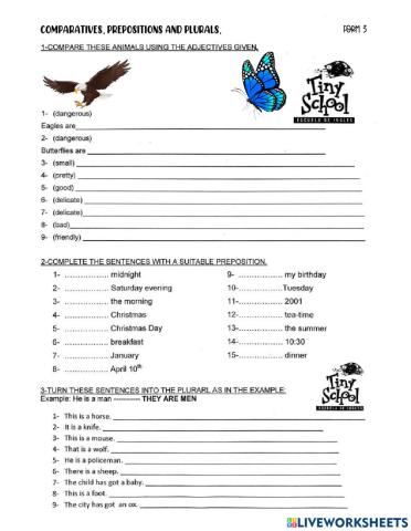 Comparative, plural, prepositions