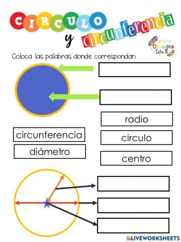 Circulo y circunferencia