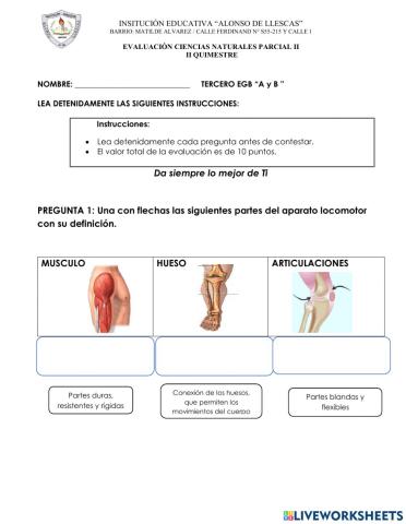 Evaluacion de ciencias naturales