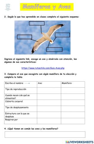 Mamíferos y aves