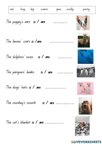 Is or are with adjectives