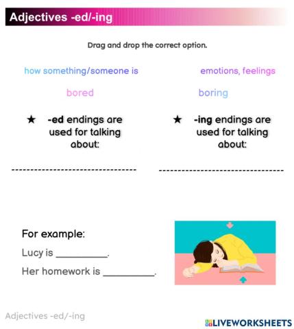 Study guide PART 2 - 4º