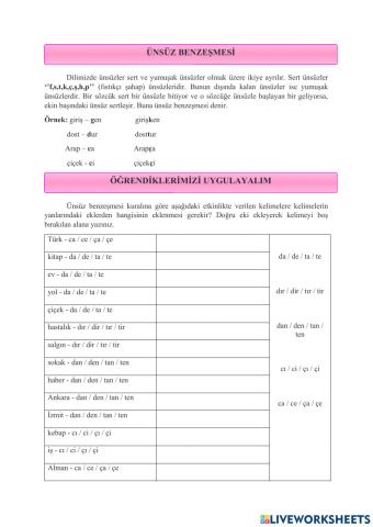 Ünsüz  Benzeşmesi