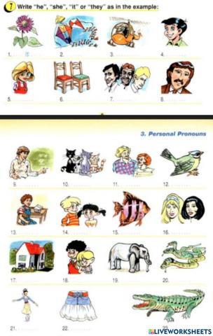 Personal Pronouns