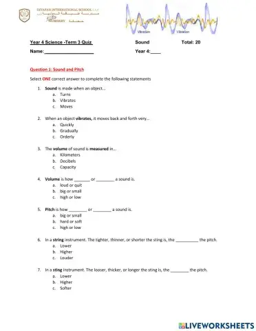DIS Science Term 3 quiz: Sound
