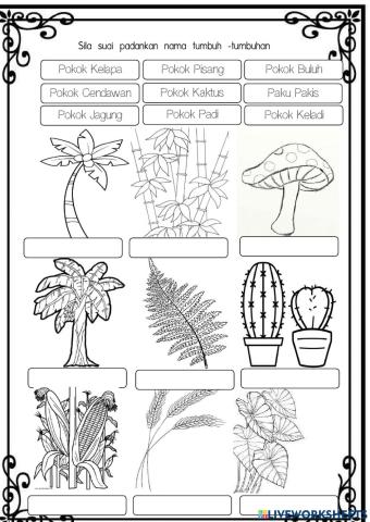 Mari mengenali Tumbuh-tumbuhan