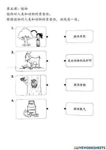 二年级科学：植物对人类和动物的重要性