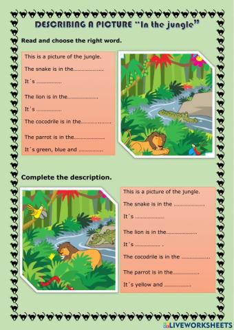 DESCRIBING A PICTURE -In the jungle-