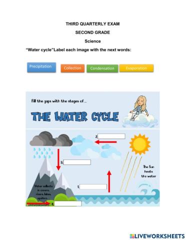 Science Third Quarterly Exam