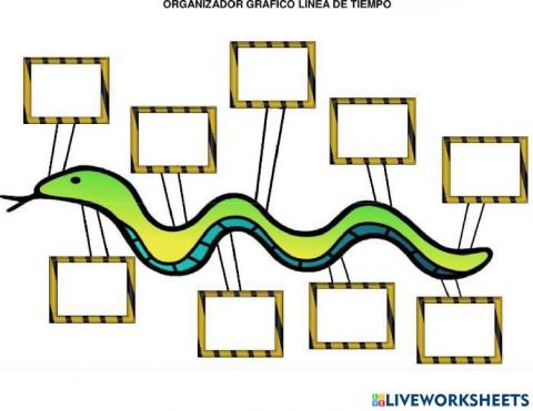 Organizador gráfico