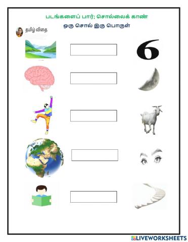 ஒரு சொல் இரு பொருள்