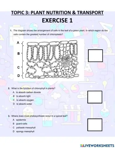 Plant NUtrition and Transport