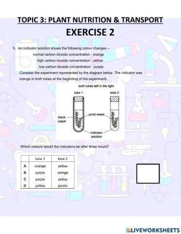 Plant NUtrition and Transport