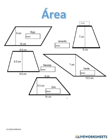 Consolidación área