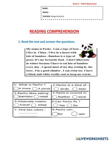 Week 4 - nivelación 10th